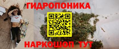 мяу мяу мука Братск