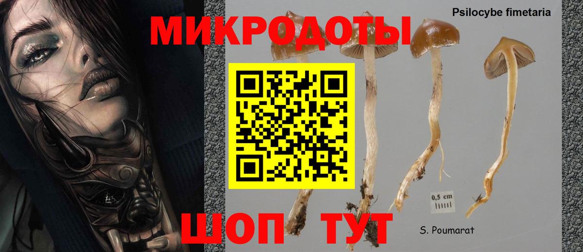 Галлюциногенные грибы MAGIC MUSHROOMS Полысаево