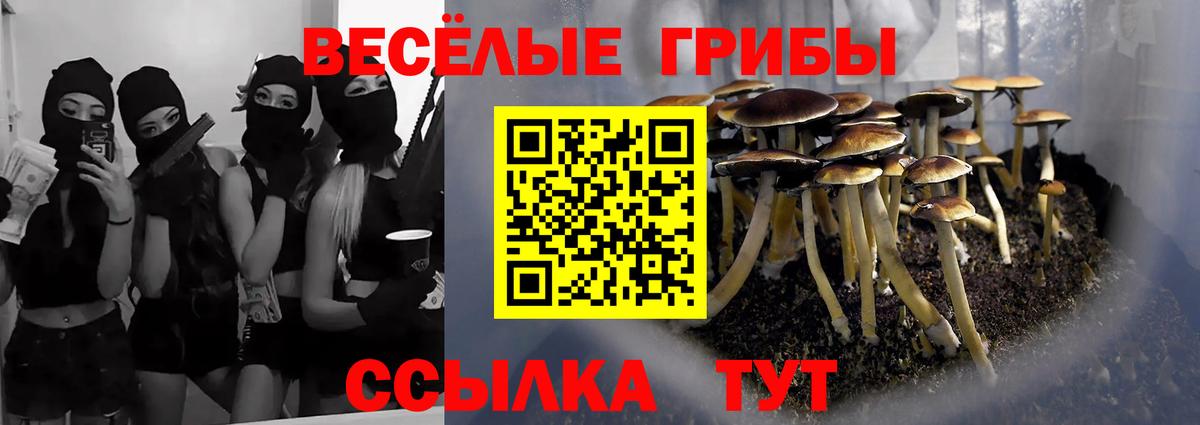 Полысаево  Псилоцибиновые грибы GOLDEN TEACHER  Вход с VPN 
